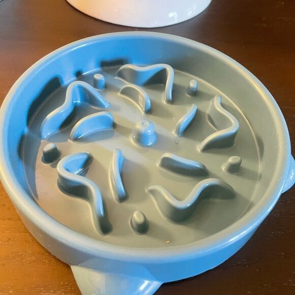 Raised Ceramic Dog or Cat Bowls and Two Slow Feeder Bowls - Picture 5 of 12